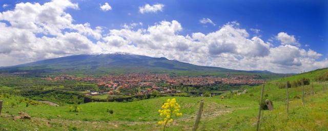 randazzo