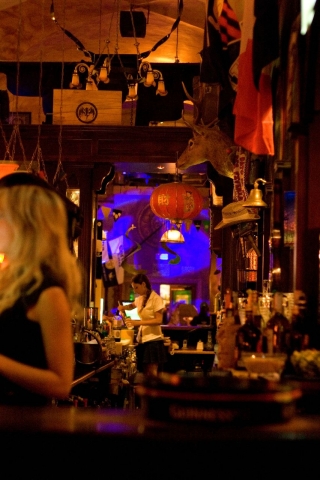 stags-head-2