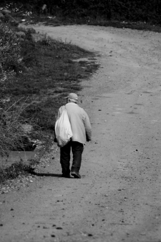 randazzo-people