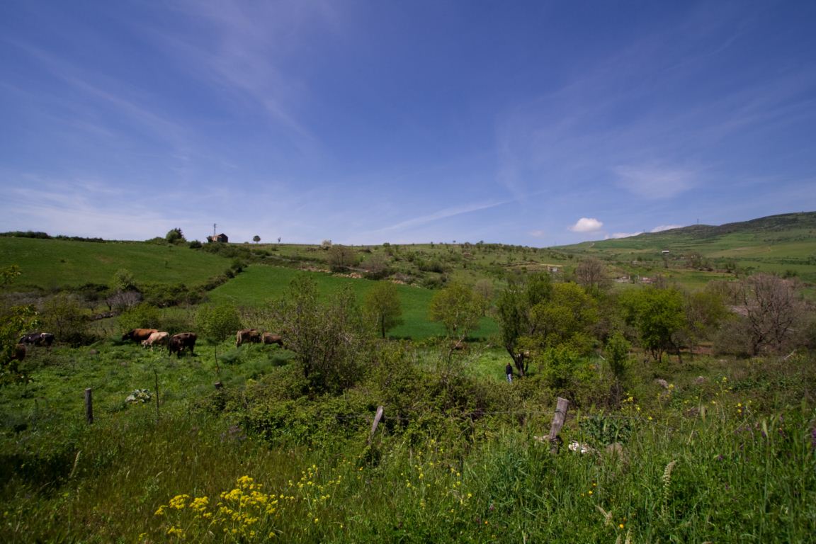 Natura incontaminata